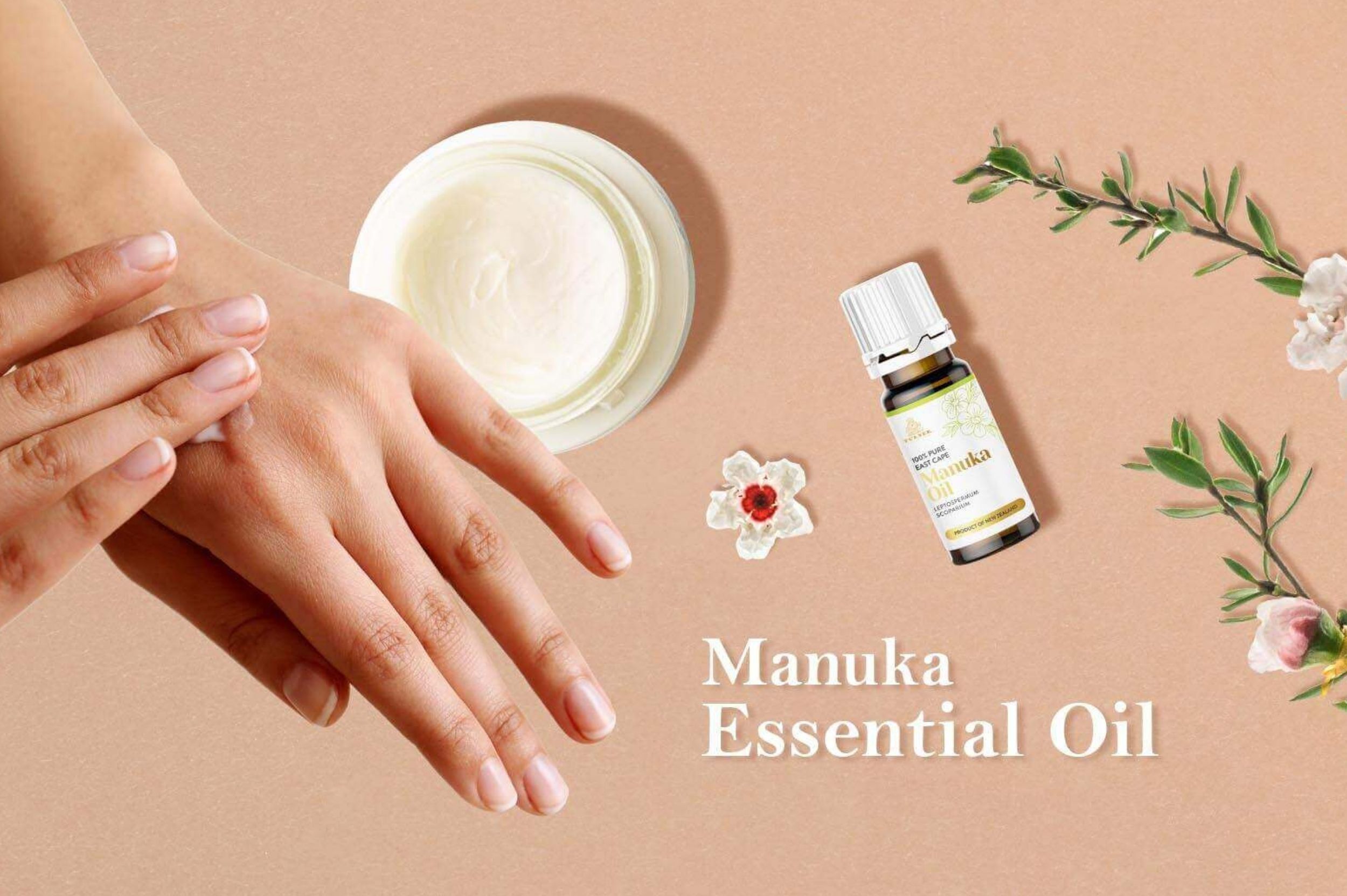 Manuka Oil 101: Your Complete Guide on Manuka Essential Oil - TURNER New Zealand